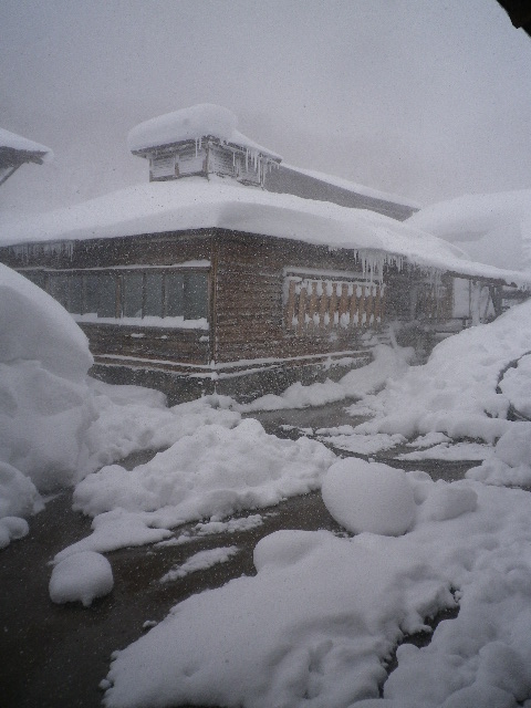 d0193224_22353238.jpg