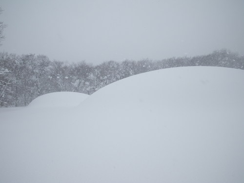 f0118332_0234439.jpg