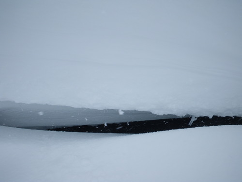 f0118332_0363115.jpg
