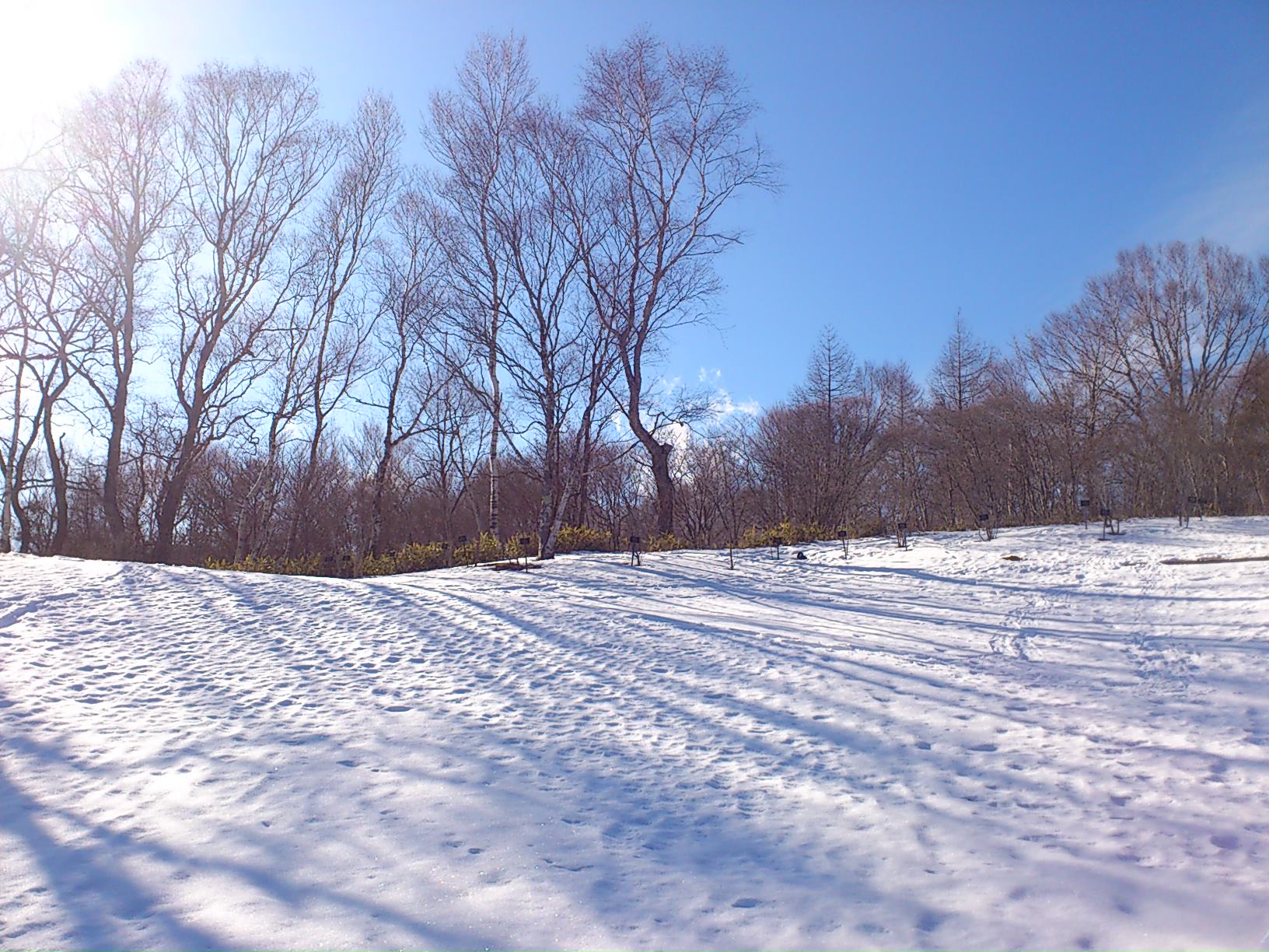 a0110441_2174683.jpg
