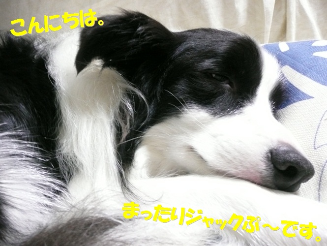 c0147241_1842662.jpg