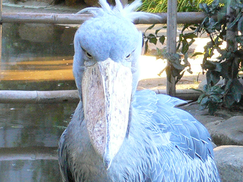 a0106747_23573190.jpg