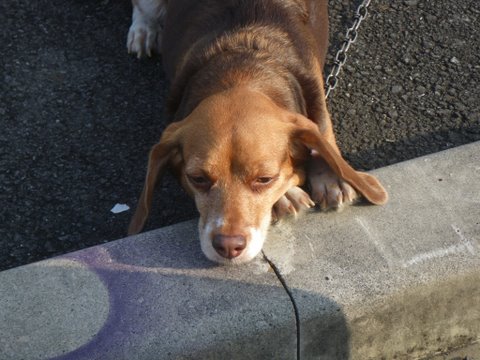 f0046250_2010147.jpg