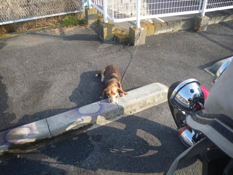 f0046250_20103477.jpg