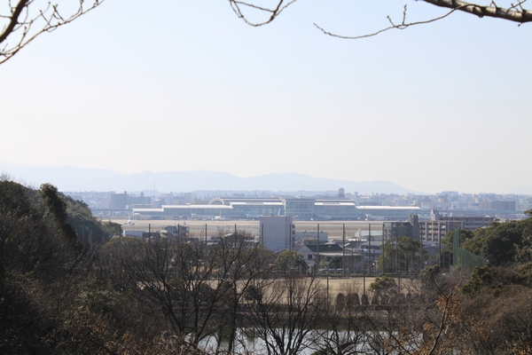 a0090451_223741.jpg