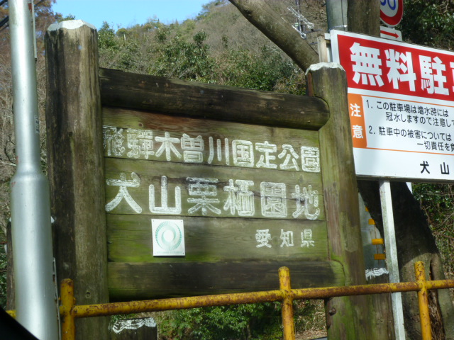 a0130451_17385056.jpg