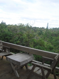 f0009451_2214638.jpg