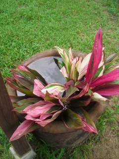 f0009451_22303958.jpg
