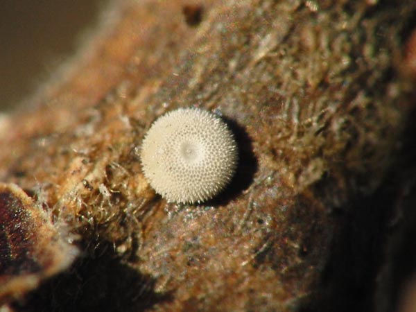 c0045352_2305715.jpg