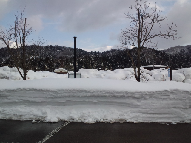c0145453_182879.jpg