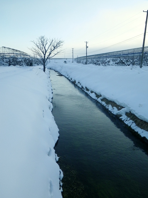 b0177355_16481486.jpg