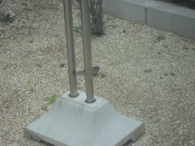 f0182367_2145382.jpg