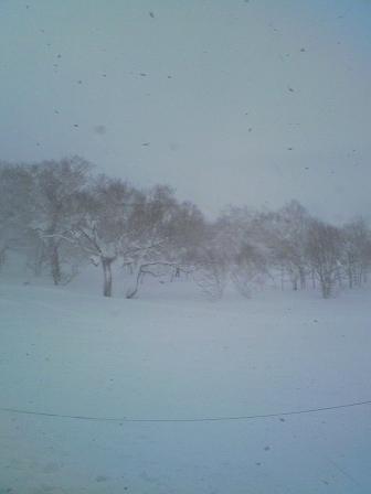 f0036269_7551710.jpg