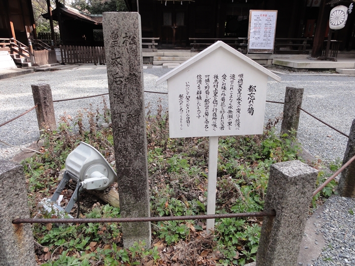 f0136675_21543786.jpg