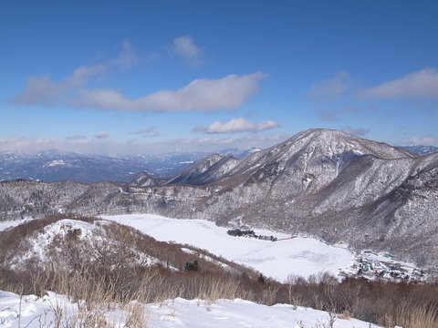 a0094280_2049559.jpg
