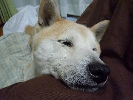 c0123890_20125487.jpg