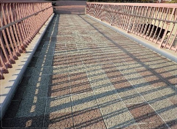 e0143690_5472387.jpg
