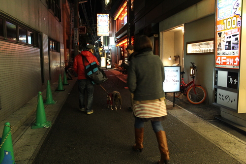 a0234491_2027125.jpg