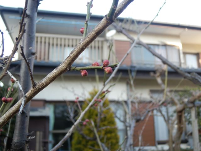 f0130894_22143148.jpg