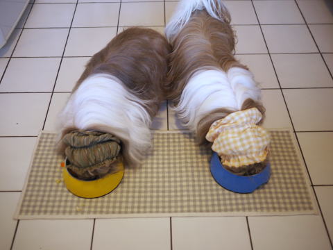c0090198_4312395.jpg