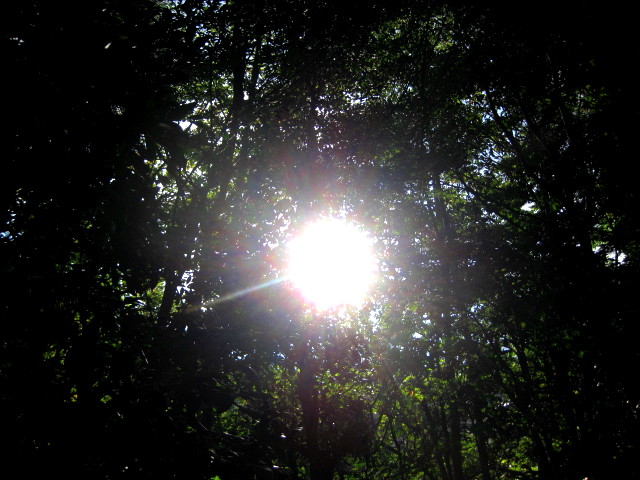 f0236201_9295130.jpg
