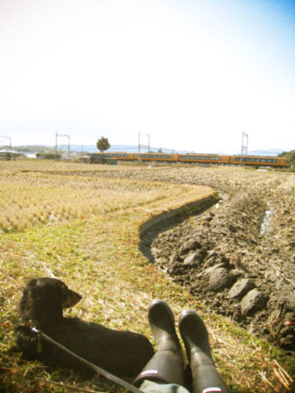 d0077603_9541295.jpg