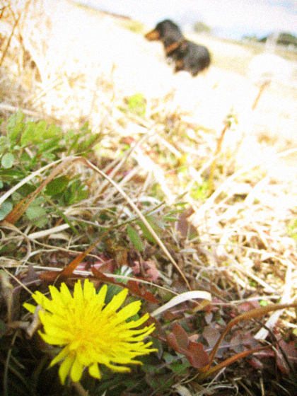 d0077603_9565136.jpg