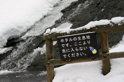 f0041606_20222100.jpg