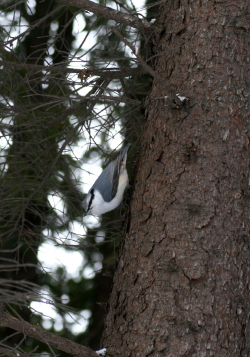 f0041606_2025556.jpg
