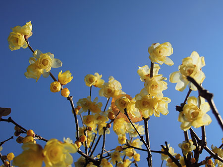 a0041508_21181054.jpg