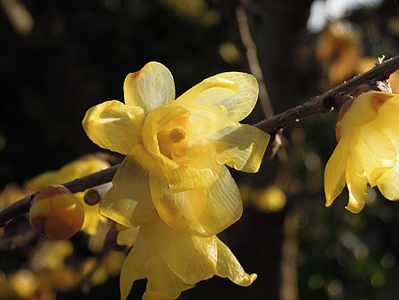 a0041508_2118111.jpg