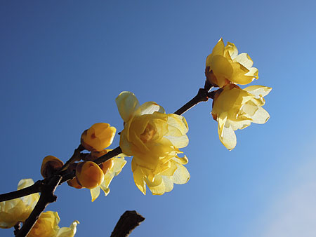 a0041508_2118987.jpg