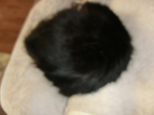 b0239909_2236356.jpg