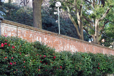 d0113613_20514166.jpg