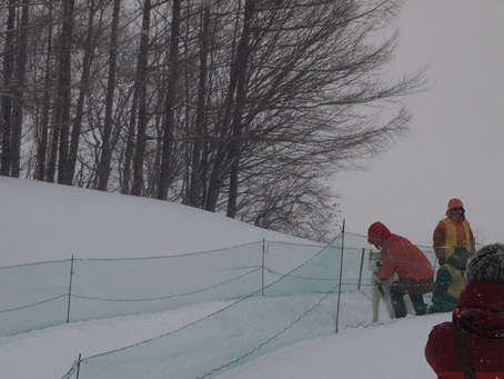 b0207615_20511062.gif