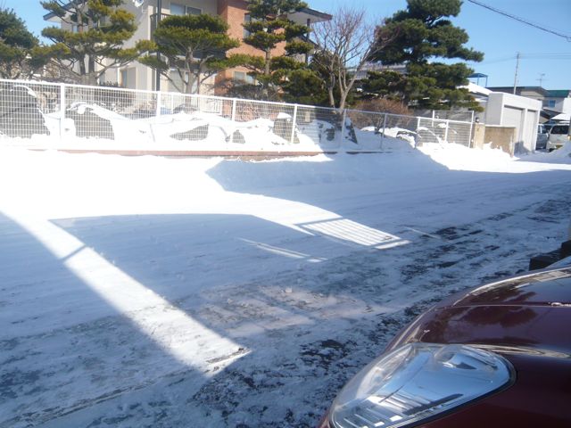 e0111220_1450557.jpg