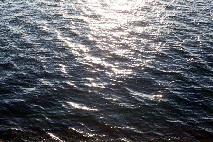 c0064025_22392236.jpg