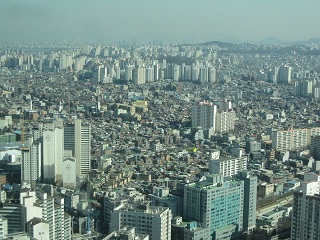 c0051529_1258499.jpg
