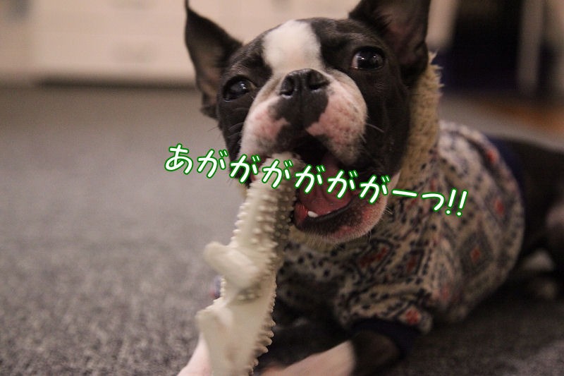 c0209932_2013073.jpg