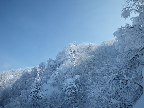 f0118332_22233569.jpg