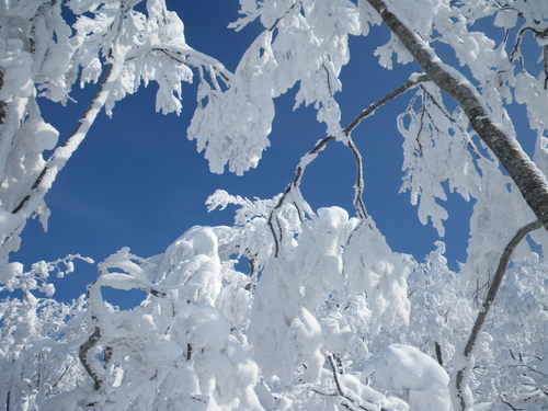 f0118332_22254152.jpg