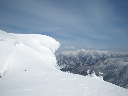 f0118332_2240780.jpg