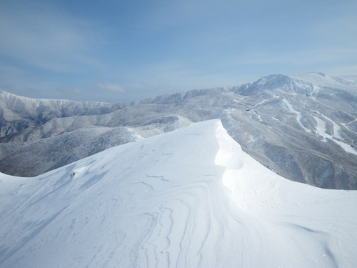 f0118332_2241645.jpg