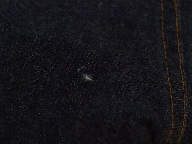c0177238_175351.jpg