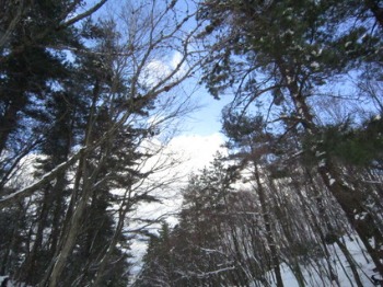 e0110940_20362867.jpg