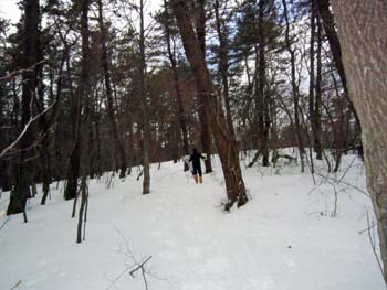 e0110940_21223877.jpg