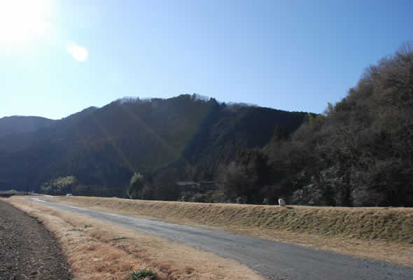 c0181543_175112.jpg