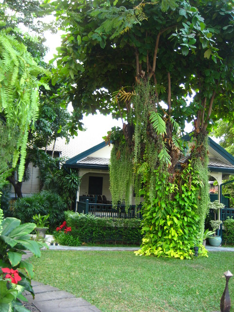 c0209845_22542384.jpg
