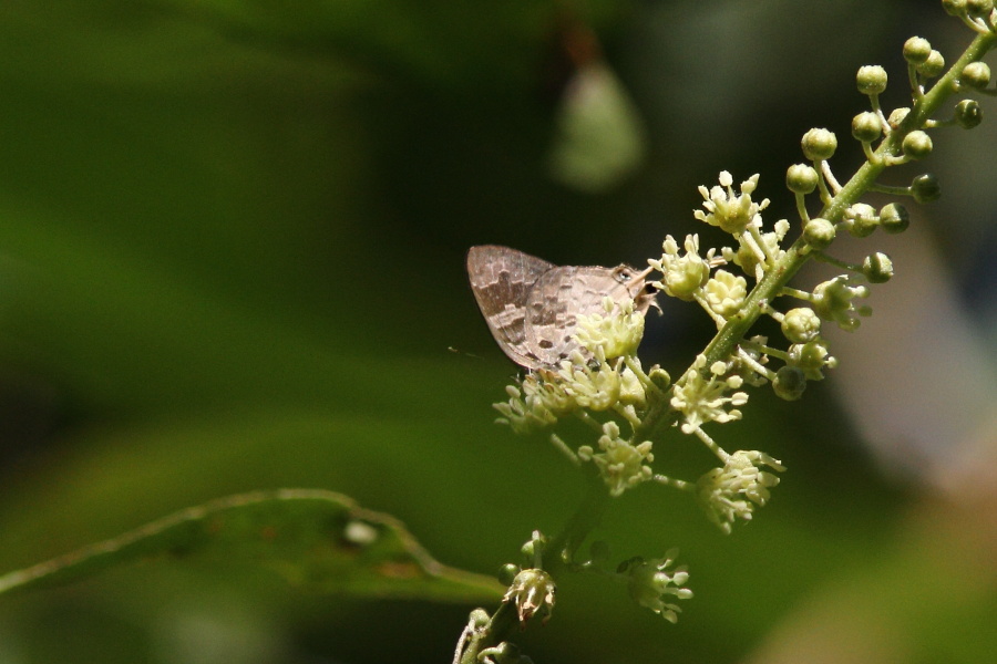a0094850_9503120.jpg