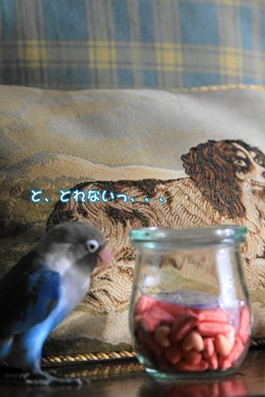 c0145250_2164458.jpg